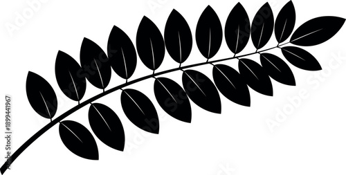Black silhouette vector illustration of a curved leaf branch with multiple oval leaves for nature themed graphic design, organic botanical patterns, and plant clipart.