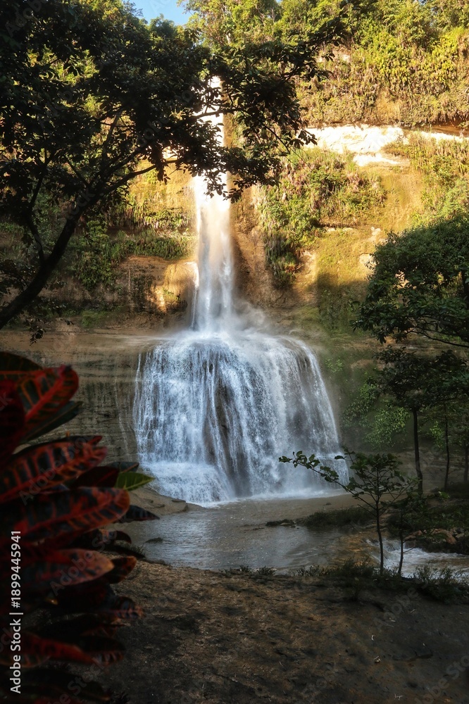 Obraz premium waterfall in the forest