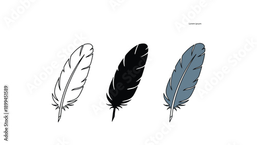 Four feathers in different colors on a white background