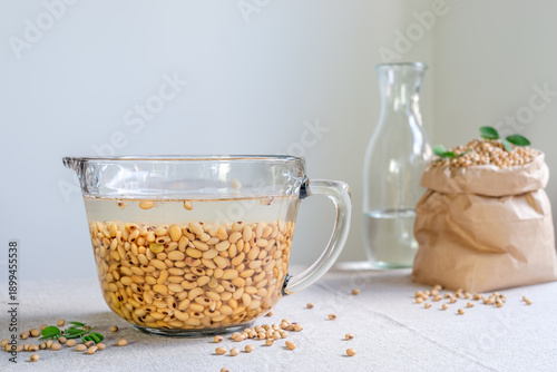 Tableau sur toile Soybeans soaking in water in a glass jug with dried soya beans in a brown paper bag on the table lined with linen cloth