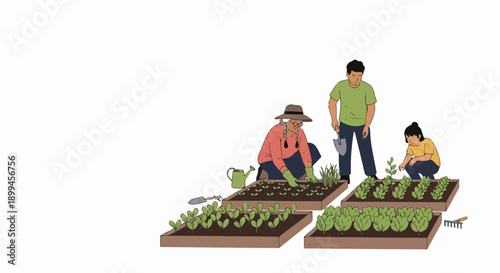 Family gardening in raised beds, illustrating people planting vegetables together. Family gardening involves adults and child nurturing plants in soil, using tools like watering can.