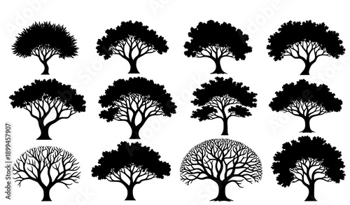 Artistic tree silhouette vector set abstract botanical design