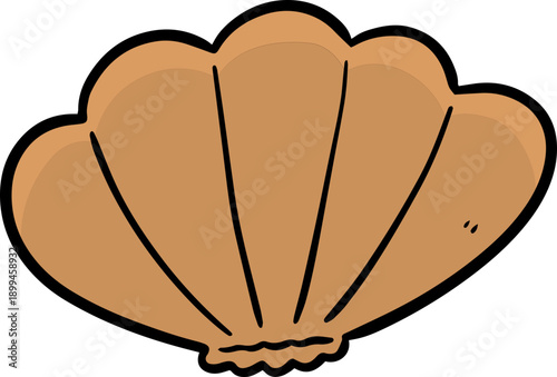 sea shell