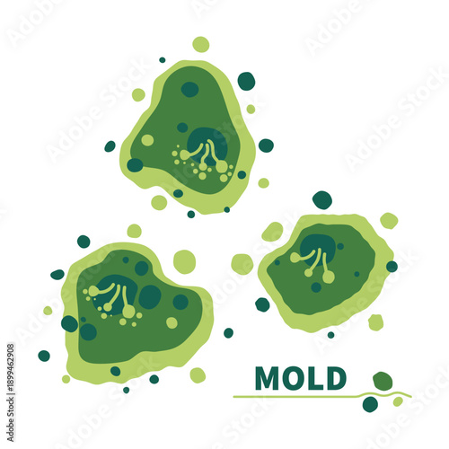 Green fungus spores growth vector illustration set.