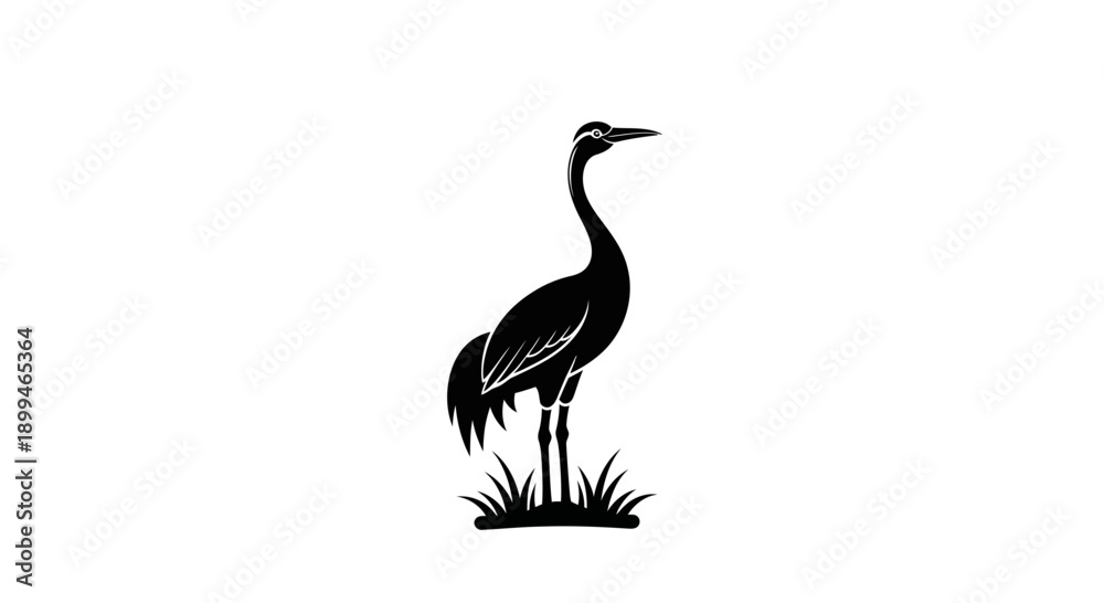 Fototapeta premium Black and White Crane Standing Illustration.