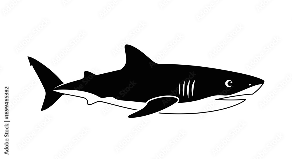 Obraz premium Black Silhouette of a Shark Swimming.