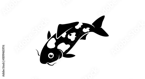 Black and White Koi Fish Illustration.