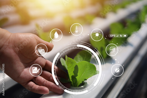 Photos Smart hydroponic farming concept with fresh green lettuce growing in controlled environment, showing precision agriculture, plant monitoring, sustainable food production and modern agri technology