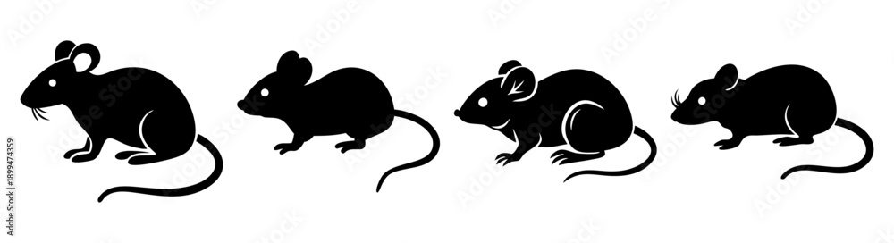 Obraz premium Four black laboratory mice running in sequence on white background for scientific research and medical study