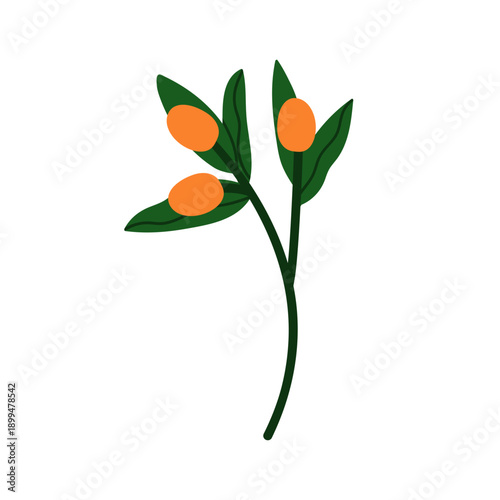 Berry branch. Exotic tropical fruit on stem with leaves. Abstract citrus plan...
