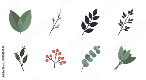 Minimalist botanical elements: leaves and branches collection