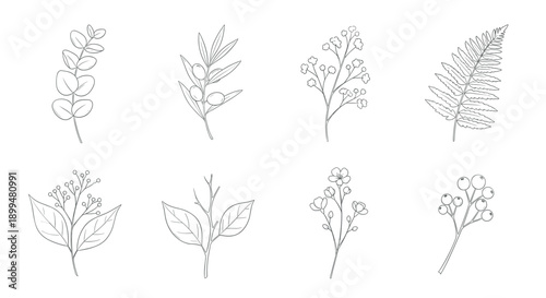 Minimalist botanical line art collection: elegant outlined leaf and plant designs