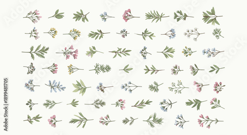 Delicate watercolor wildflowers and leaves pattern on soft white background