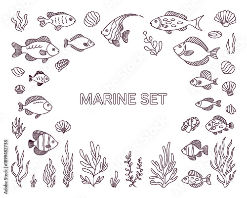 Hand drawn marine life illustration showcasing various fish and seashells