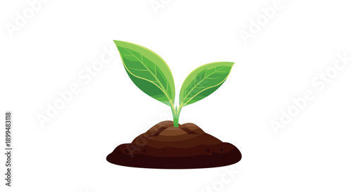 Vibrant young plant growing from soil with fresh green leaves