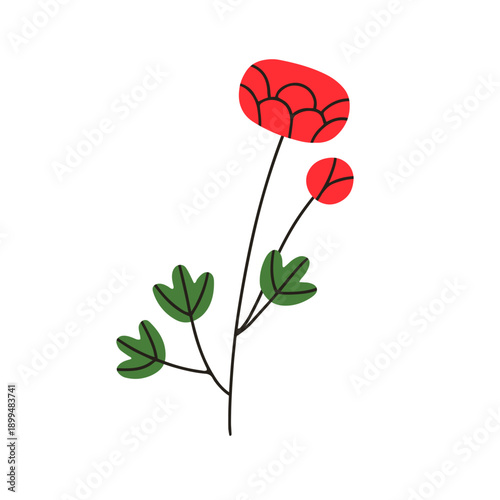 Flower bloom. Delicate floral plant stem with leaf and garden blossom. Beauti...