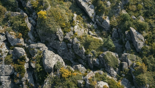 Rock Formations in a Natural Landscape With Greenery and Scattered Trees Duri...
