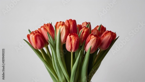 Bright Tulip Bouquet in a Simple Vase on a Neutral Background During Daylight