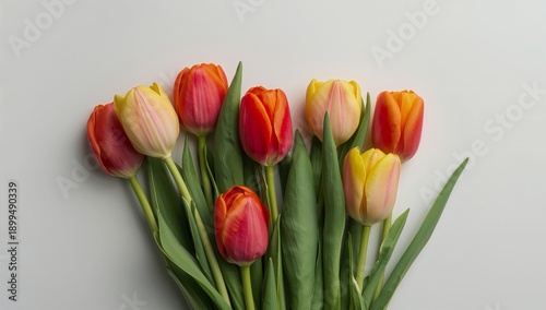 Bright Tulip Bouquet in a Simple Vase on a Neutral Background During Daylight
