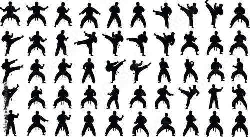 Silhouettes of martial artists performing kicks, punches, and stances in grid layout with traditional uniforms and belts