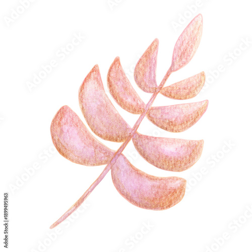 A sweet, simple branch with leaves, hand-painted in soft pink watercolor on textured paper. An elegant holiday decoration element, isolated on a white background.