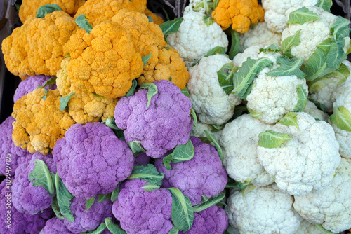 Fresh colorful cauliflower from the field as food background. Purple, yellow and white cauliflower at the local market. Natural and healthy food in three colors.