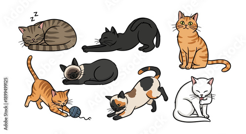 Charming Cartoon Domestic Cats Engaging in Everyday Activities
