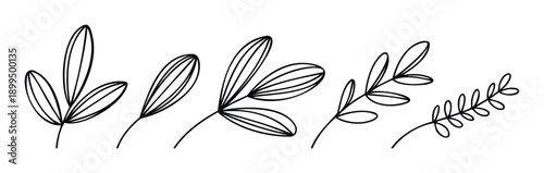 Minimalist hand drawn botanical line art leaves and branches offering a natural organic decorative graphic resource for various design and branding applications