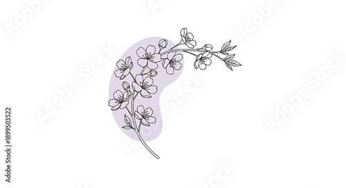 Vector floral branch with berries and leaves on a soft pink background, illustration for banner or poster