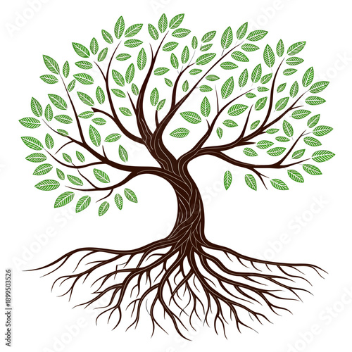 A detailed illustration of a tree with roots and branches against a plain background