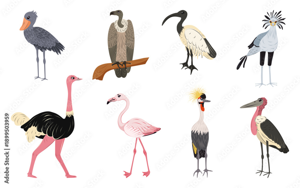 Naklejka premium Vector set birds from Africa isolated. Shoebill stork, ostrich, secretary bird, marabou stork, vulture, crowned crane, sacred ibis, pink flamingo. Children cute animal illustration.