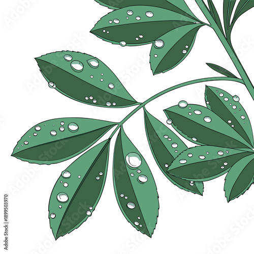 Intricate botanical illustration of a leafy green plant branch against a light background