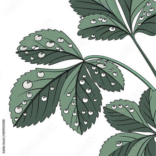 Detailed illustration of dew-covered leaves with intricate botanical patterns