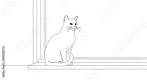 White Cat Sitting on Windowsill Looking.