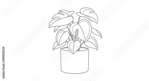 Potted plant with large leaves indoors.