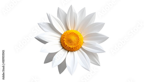 Elegant Low Poly Daisy with Geometric White Petals Isolated on Transparent Background
