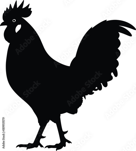 Black silhouette of a rooster on white background bird animal