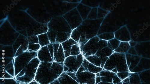 Glowing fungal mycelium network growing and pulsing with light in rich black soil representing organic connections concept of decentralized networks and biotechnology