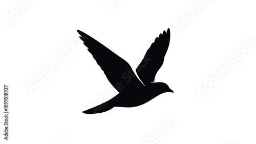 a black bird in flight wings spread wide against a white background silhouette