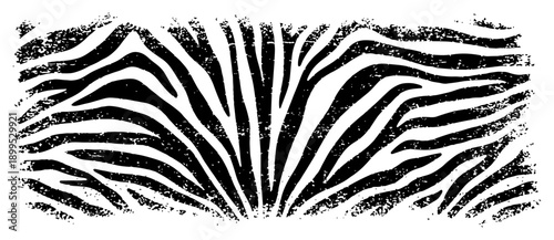 Abstract zebra stripe pattern with distressed grunge texture for exotic animal print background