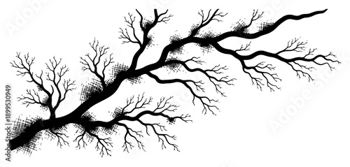 Hand drawn bare tree branch with detailed twigs and organic ink sketch texture