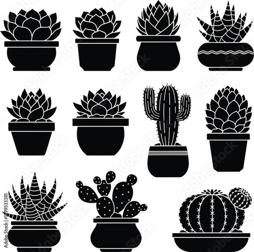 Black Succulent and Cactus Silhouettes on White Background