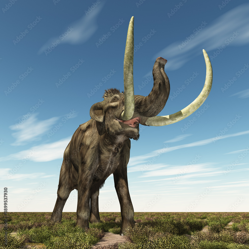 Fototapeta premium Mammut in einer Landschaft