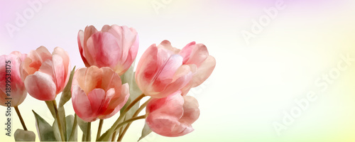 Vintage spring watercolor template with pink tulips and floral elements. Delicate tulip bouquet background for March 8 banner, botanical garden design, seamless pattern texture.