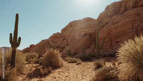 Cacti Grow in a Rocky Desert Landscape With Clear Blue Sky During Daytime