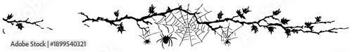 Spooky Halloween branch illustration with hanging spiders and intricate web