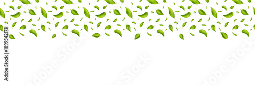 Green flying leaves banner. Leaf falling frame. Wave foliage ornament. Vegan, eco, organic product. Cosmetic pattern. Spring tree plant design. Fresh mint tea background. Air wind. Vector illustration