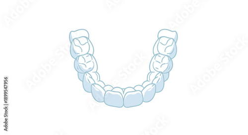 Dental illustration of orthodontic braces on teeth from a front view