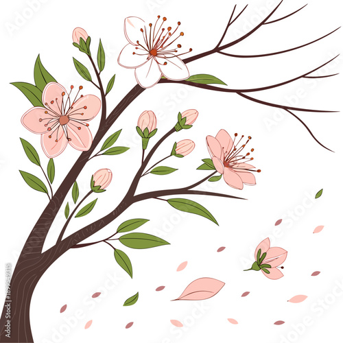 Delicate blooming cherry blossom branch with scattered petals on a soft background
