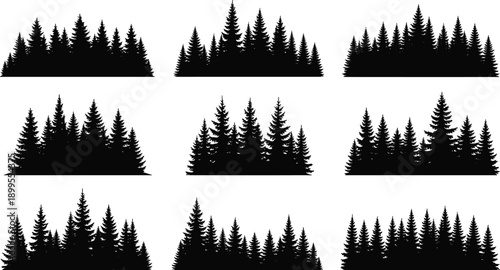 Evergreen pine forest silhouettes set, dense woodland tree lines, black vector nature landscapes for outdoor design, backgrounds, logos